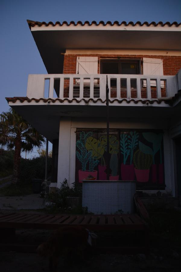 41 Hostel Punta del Este Dış mekan fotoğraf